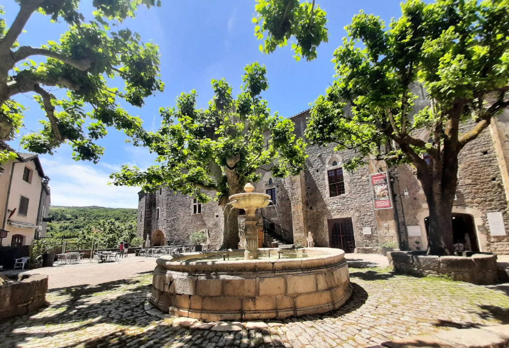 ESCAPADE EN MINI-BUS AVEC BUSCAPADE : SAINTE EULALIE ET ROQUEFORT 